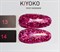 KIYOKO Duet Shimmer № 14, 8 мл 4603773733135 - фото 28550